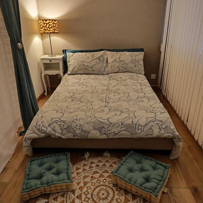 Superbe Cosy Duplex Appartement T3 Charpenne Tete D'Or Avec Parking Prive Gratuit Villeurbanne Luaran gambar