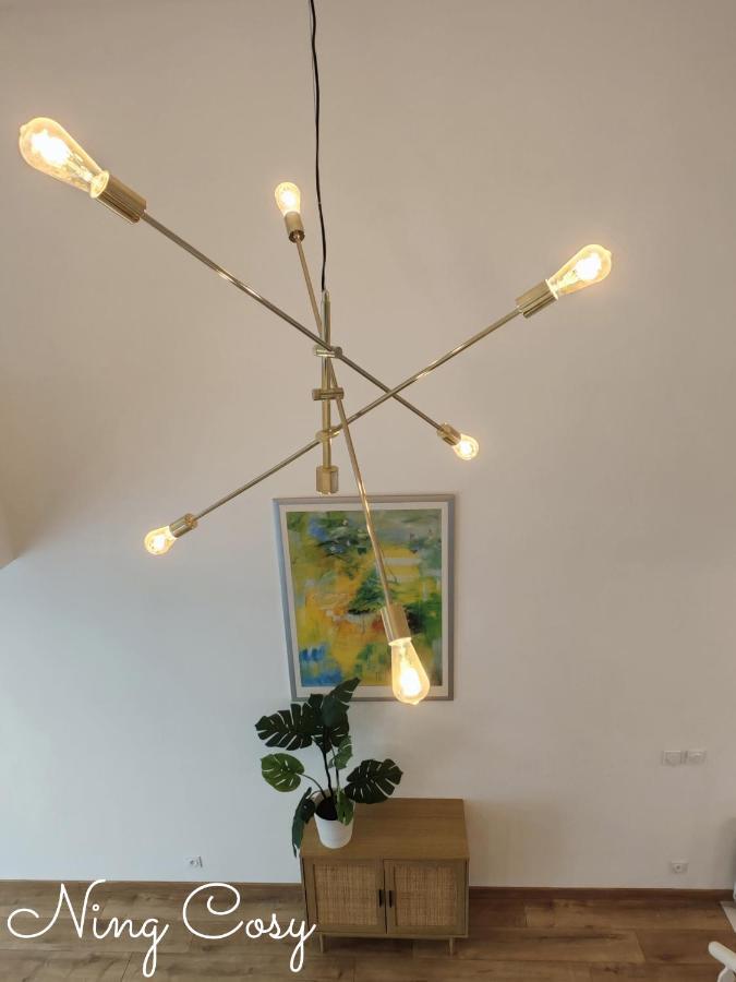 Superbe Cosy Duplex Appartement T3 Charpenne Tete D'Or Avec Parking Prive Gratuit Villeurbanne Luaran gambar