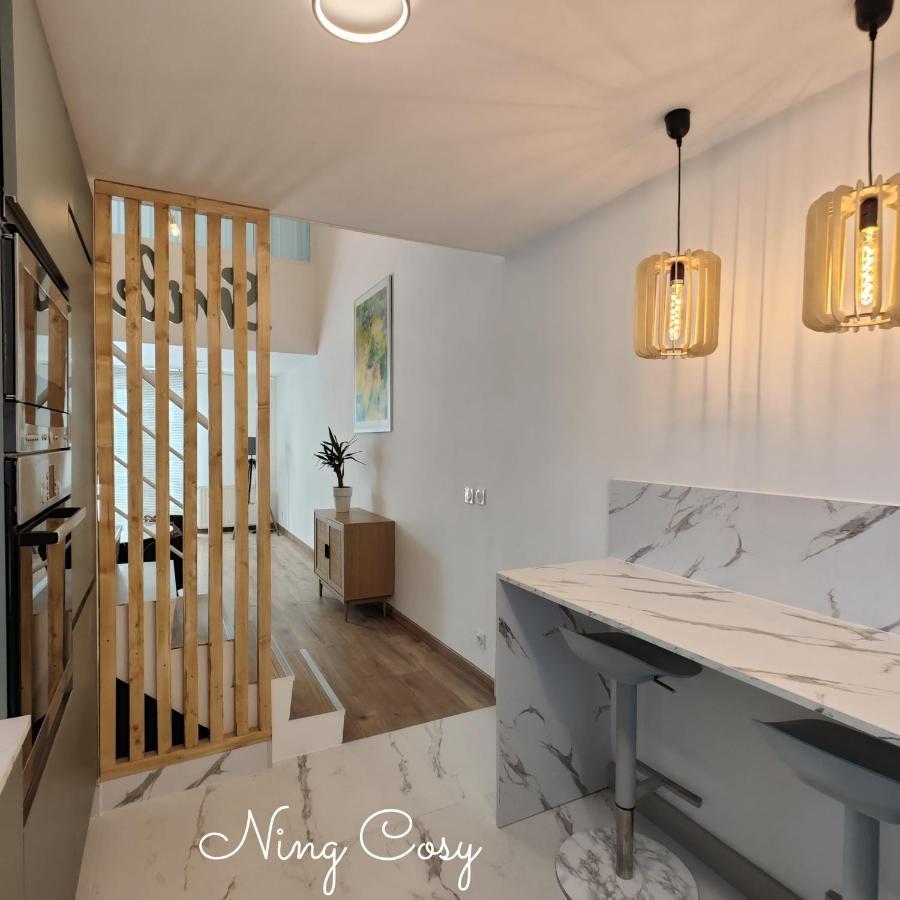 Superbe Cosy Duplex Appartement T3 Charpenne Tete D'Or Avec Parking Prive Gratuit Villeurbanne Luaran gambar