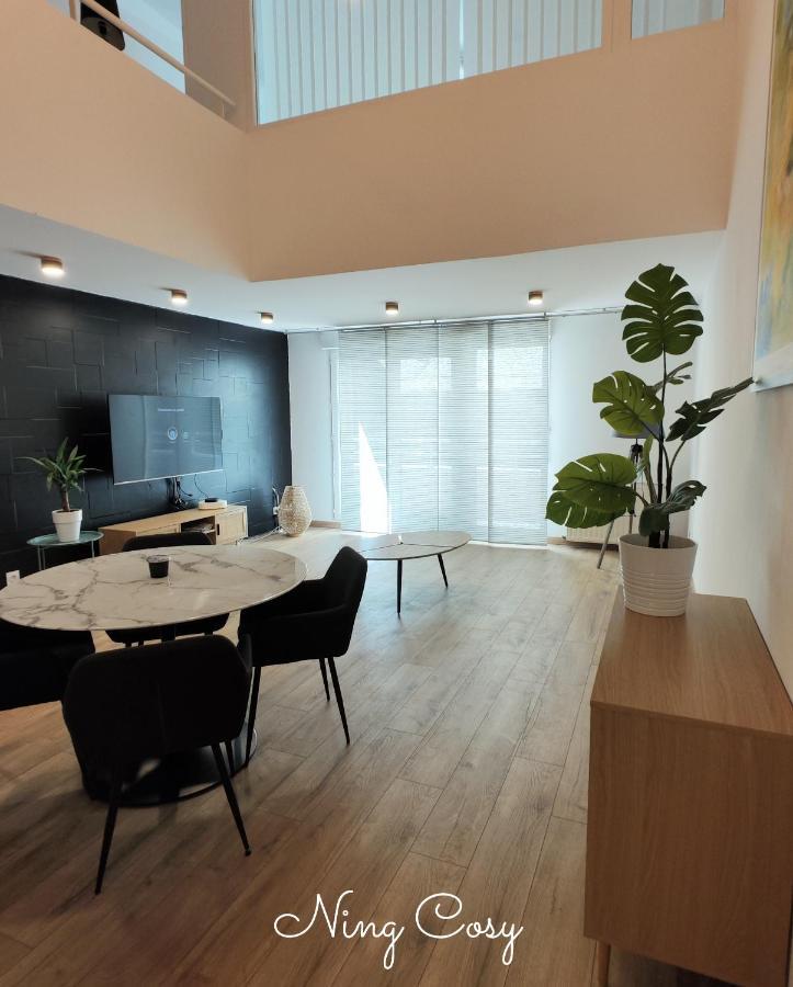Superbe Cosy Duplex Appartement T3 Charpenne Tete D'Or Avec Parking Prive Gratuit Villeurbanne Luaran gambar